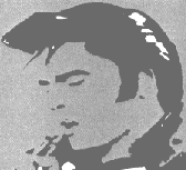 elvis.gif (6235 bytes)